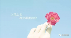 以花之名，遇見最美的你！ — 獻(xiàn)給金茂裝飾的女神們！